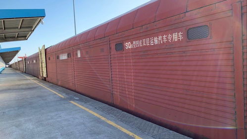 黑龙江 哈铁开通国内商品汽车运输新通道