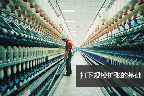 揭秘 魏桥帝国 山东首富扩张之路